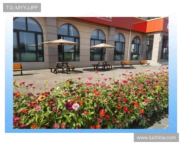 海冠角子机娱乐场：优质服务与舒适环境打造最佳娱乐体验场所