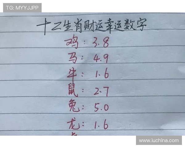 六合彩数字站最新分析与预测，帮助玩家提升中奖几率的实用指南