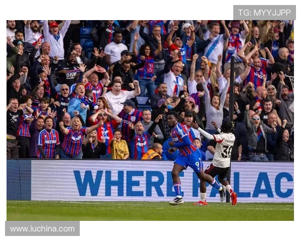 水晶宫足球队队员官网提供的比赛统计数据与个人成长轨迹