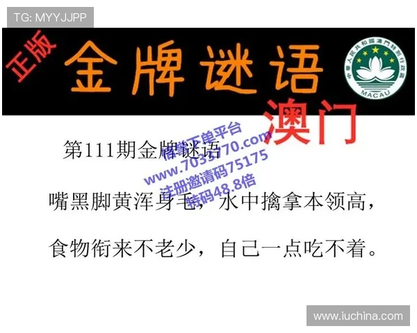 澳门总统在线登录常见问题及解决方案，帮助玩家快速排除登录障碍提升游戏体验
